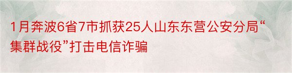 1月奔波6省7市抓获25人山东东营公安分局“集群战役”打击电信诈骗