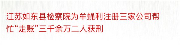 江苏如东县检察院为牟蝇利注册三家公司帮忙“走账”三千余万二人获刑